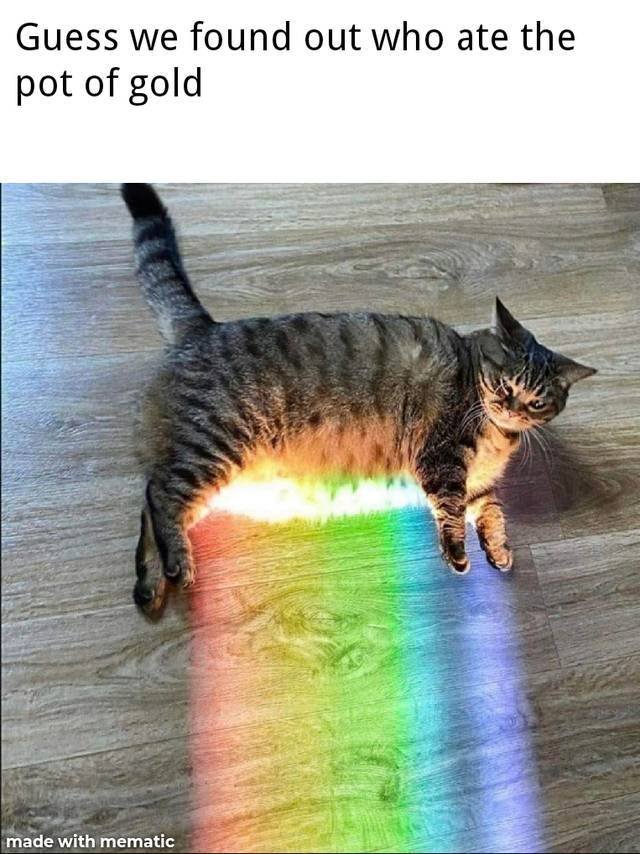 Acid Picdump. Part 2 (95 pics)