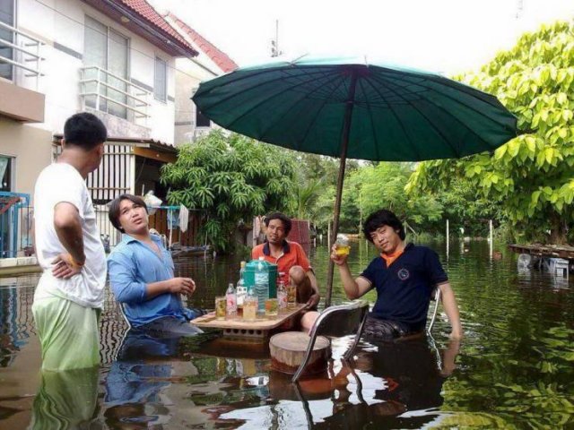 Acid Picdump. Part 1 (96 pics)