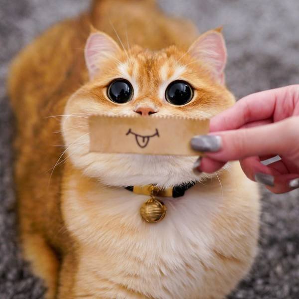 Acid Picdump. Part 1 (96 pics)