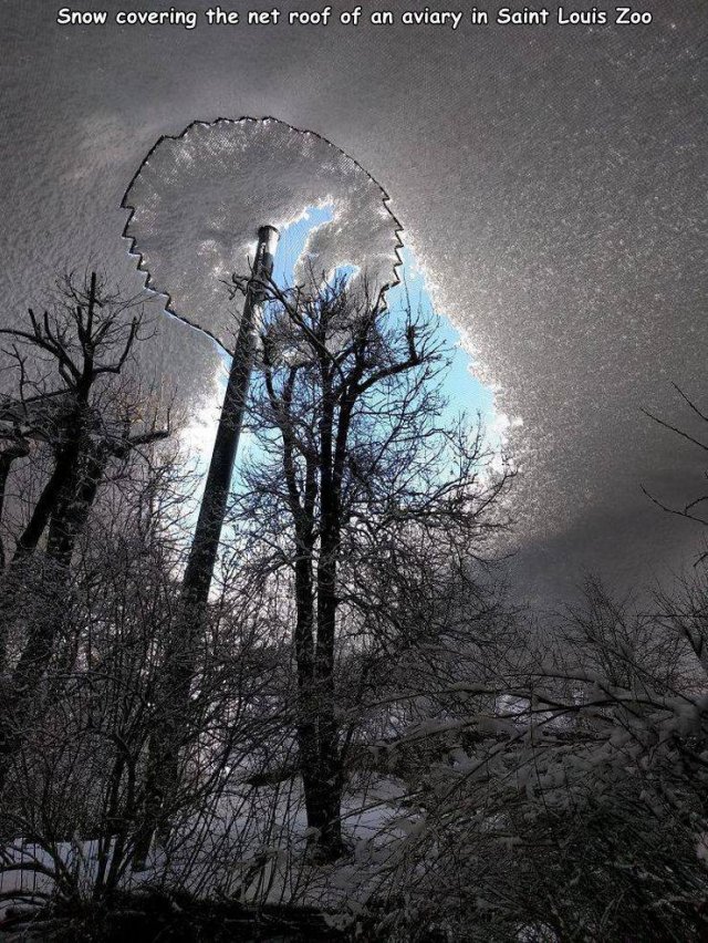 Acid Picdump. Part 1 (96 pics)