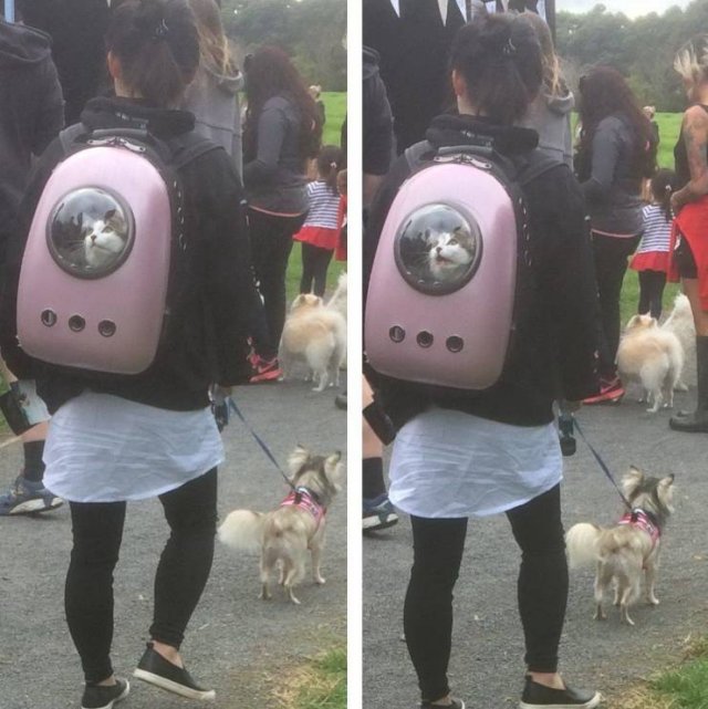 Acid Picdump. Part 1 (96 pics)