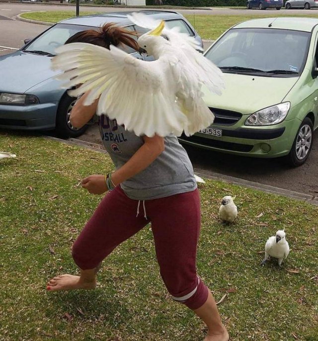 Acid Picdump. Part 1 (96 pics)