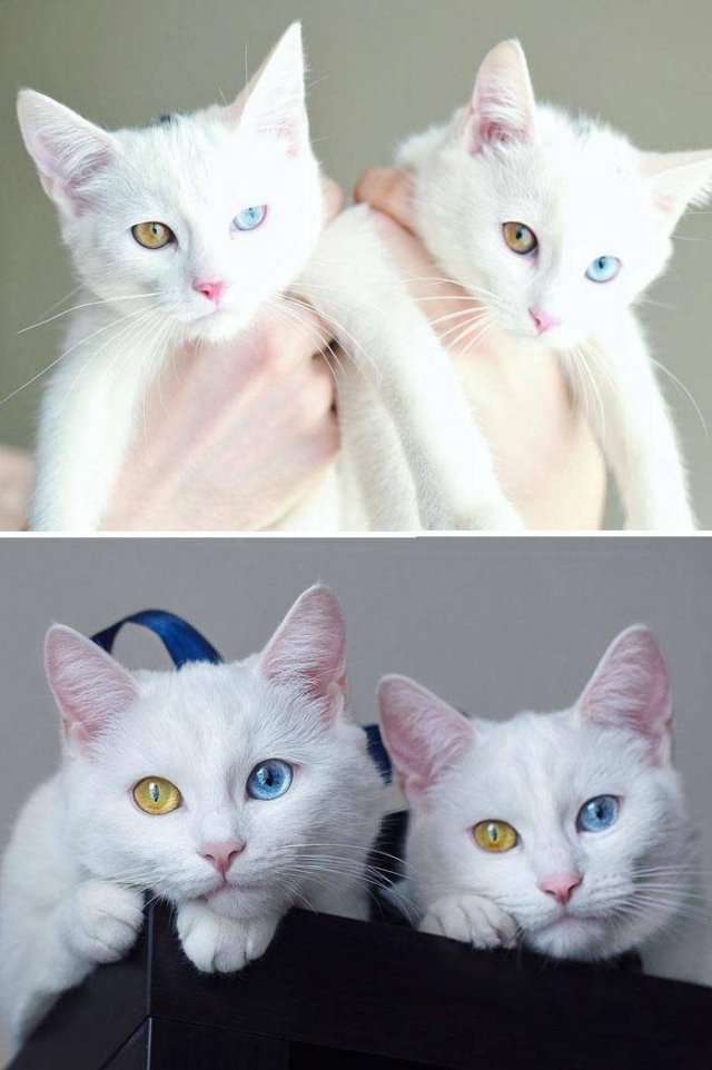 Acid Picdump. Part 2 (95 pics)