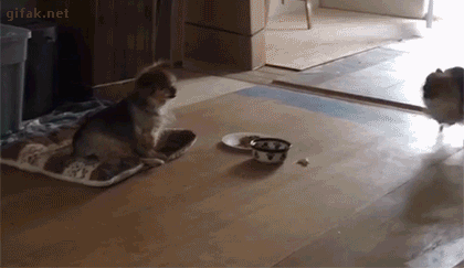 Acid Gifdump, September 9 (25 gifs)