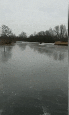 Acid Gifdump, September 9 (25 gifs)