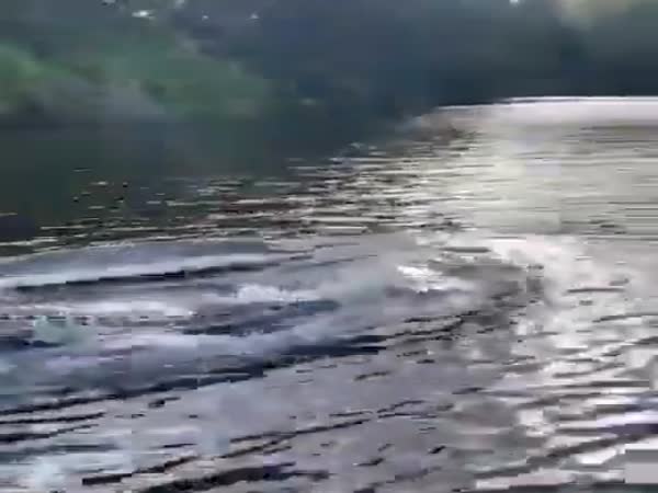 Meanwhile In Australia