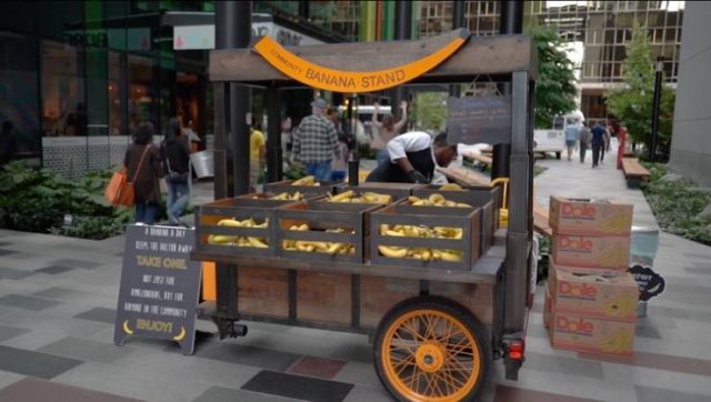 Benefits Of Working In World's Famous Companies (25 pics)