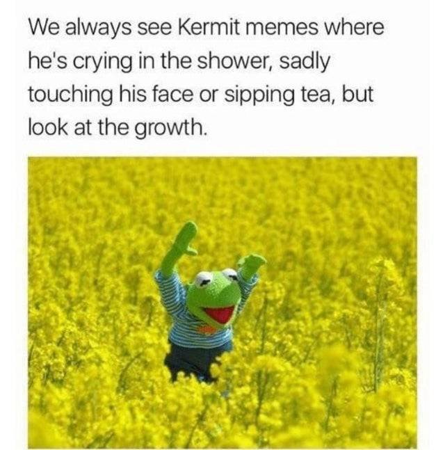 Wholesome Memes (42 pics)