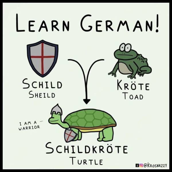 german-language-memes-50-pics