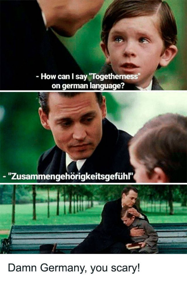 German Language Memes (50 pics)