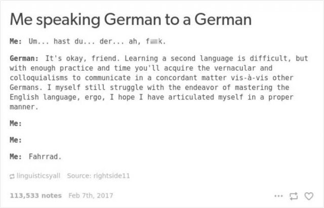 German Language Memes 50 Pics