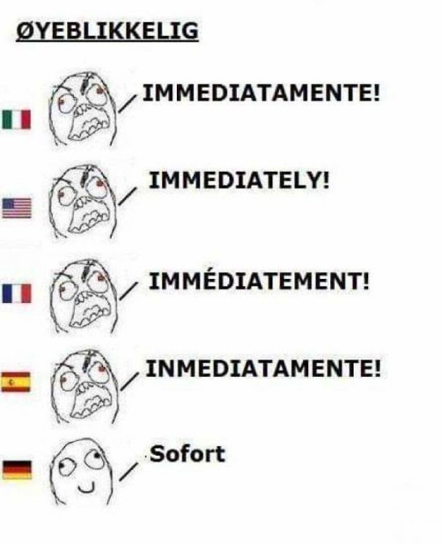 German Language Memes (50 pics)