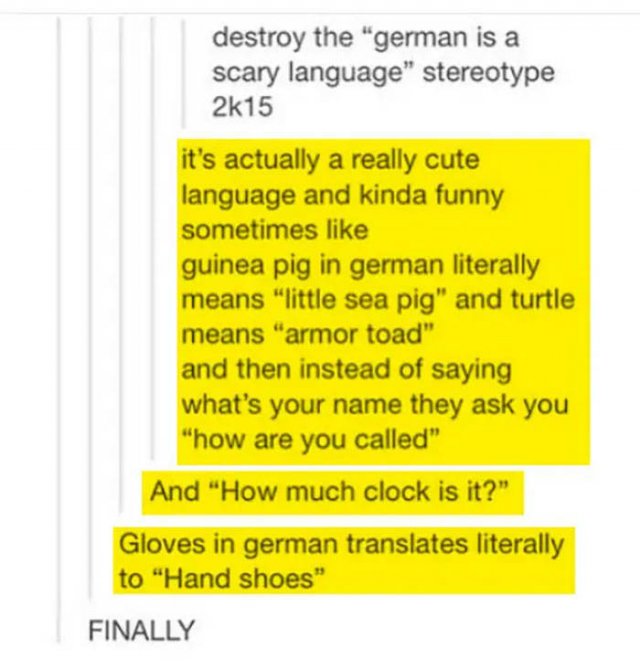 German Language Memes (50 pics)
