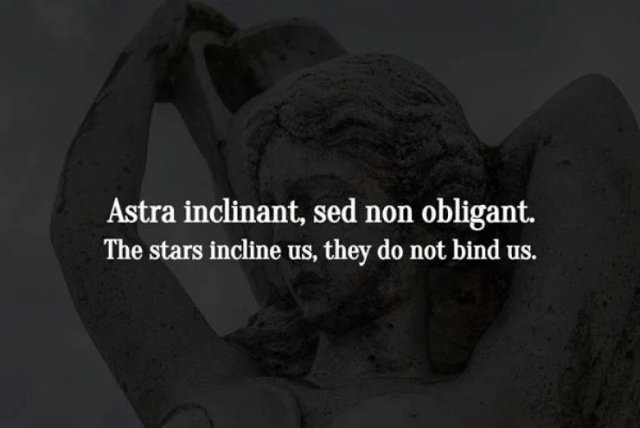 Latin Phrases Full Of Wisdom (17 pics)