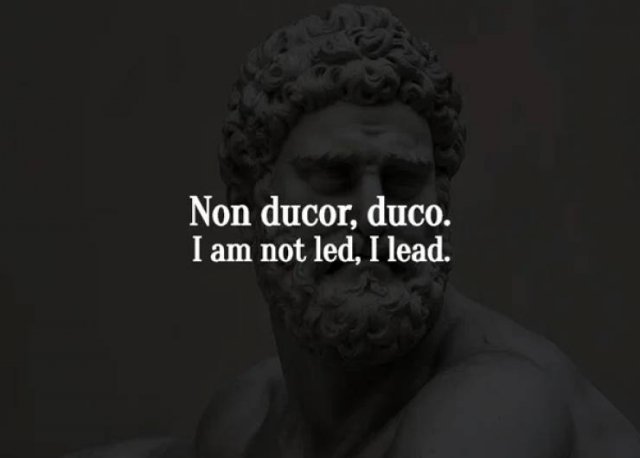 Latin Phrases Full Of Wisdom (17 pics)