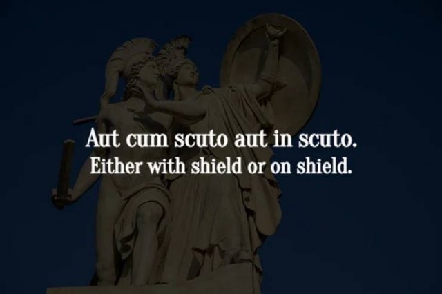 Latin Phrases Full Of Wisdom (17 pics)