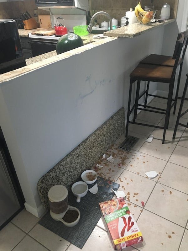 Morning Fails (26 pics)
