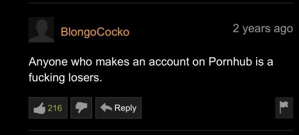 Pornhub Comments (33 pics)