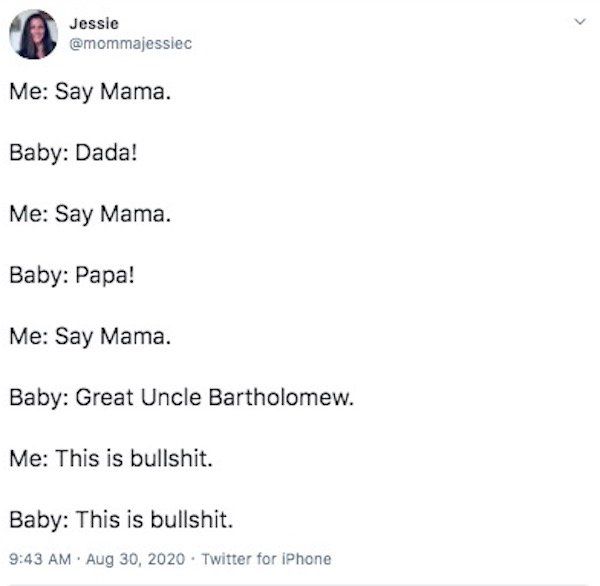 Parenting Tweets (28 pics)