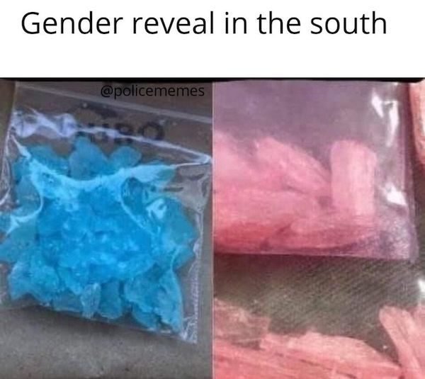 Gender Reveal Memes (34 pics)