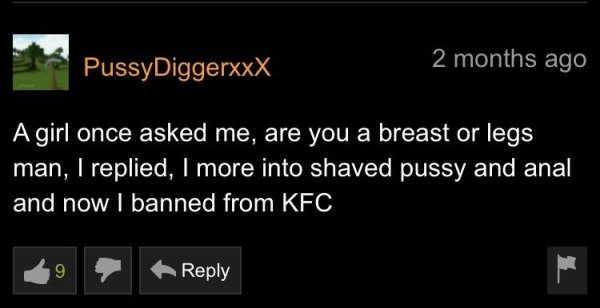 Pornhub Comments (33 pics)
