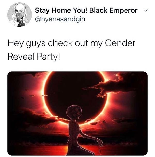 Gender Reveal Memes (34 pics)