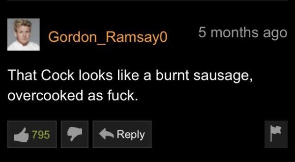 Pornhub Comments (33 pics)