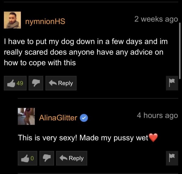 Pornhub Comments (33 pics)
