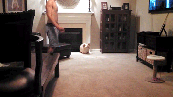 Acid Gifdump, September 11 (25 gifs)