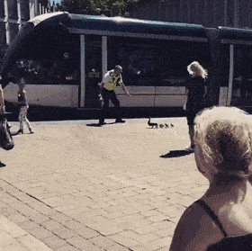 Acid Gifdump, September 11 (25 gifs)