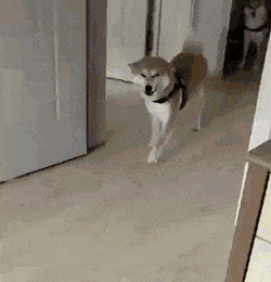 Acid Gifdump, September 11 (25 gifs)
