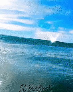 Acid Gifdump, September 11 (25 gifs)