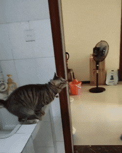 Acid Gifdump, September 11 (25 gifs)
