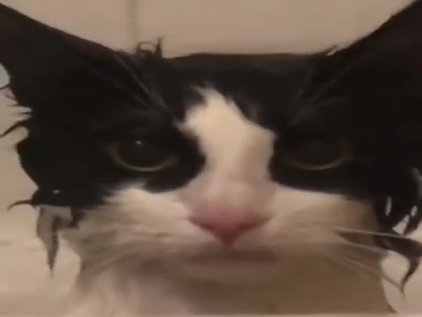 When You Realize That His Revenge Will Be Terrible