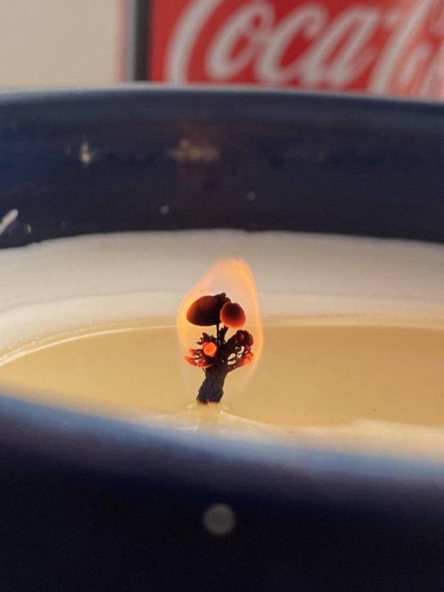 Awesome Things (38 pics)