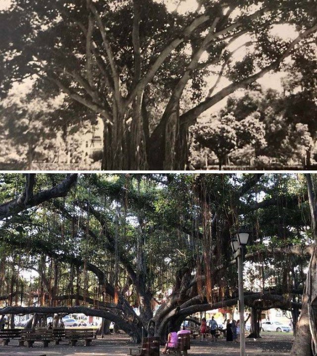 World's Changes (30 pics)