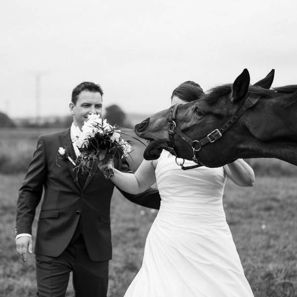 Weird Marriage Photos (39 pics)