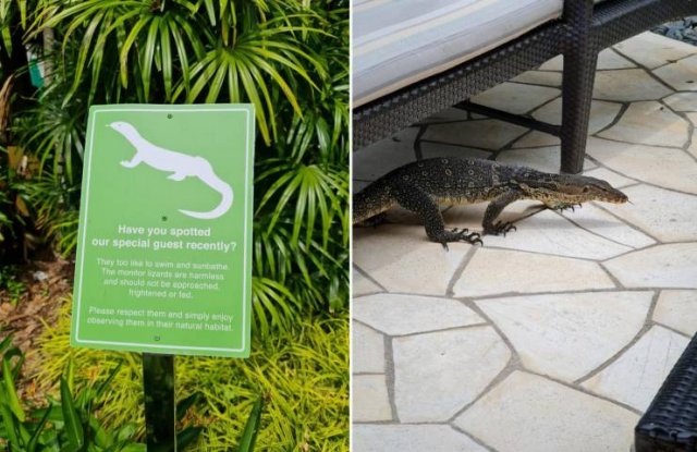 Awesome Things (38 pics)