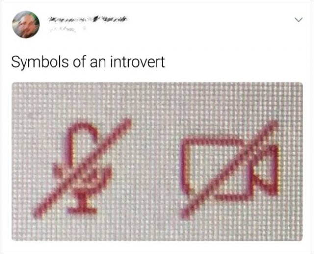Everything About Introverts (18 pics)