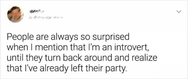 Everything About Introverts (18 pics)