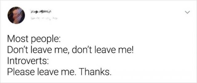 Everything About Introverts (18 pics)