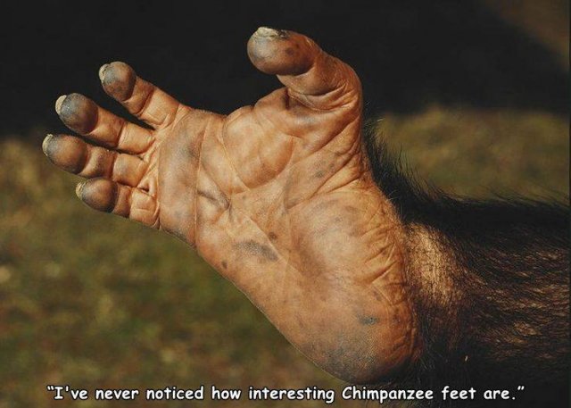 Acid Picdump. Part 1 (96 pics)