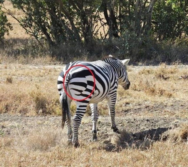 Acid Picdump. Part 1 (96 pics)