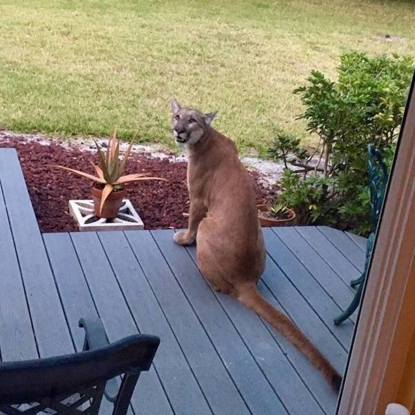 Acid Picdump. Part 2 (96 pics)