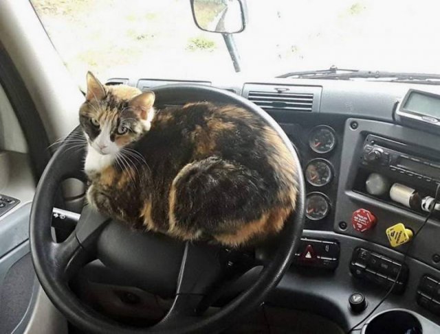 Acid Picdump. Part 1 (96 pics)
