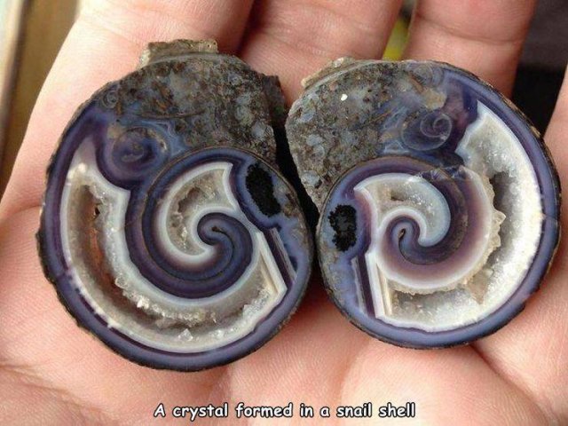 Acid Picdump. Part 1 (96 pics)