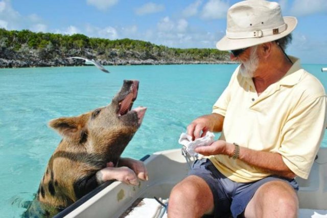 Acid Picdump. Part 1 (96 pics)