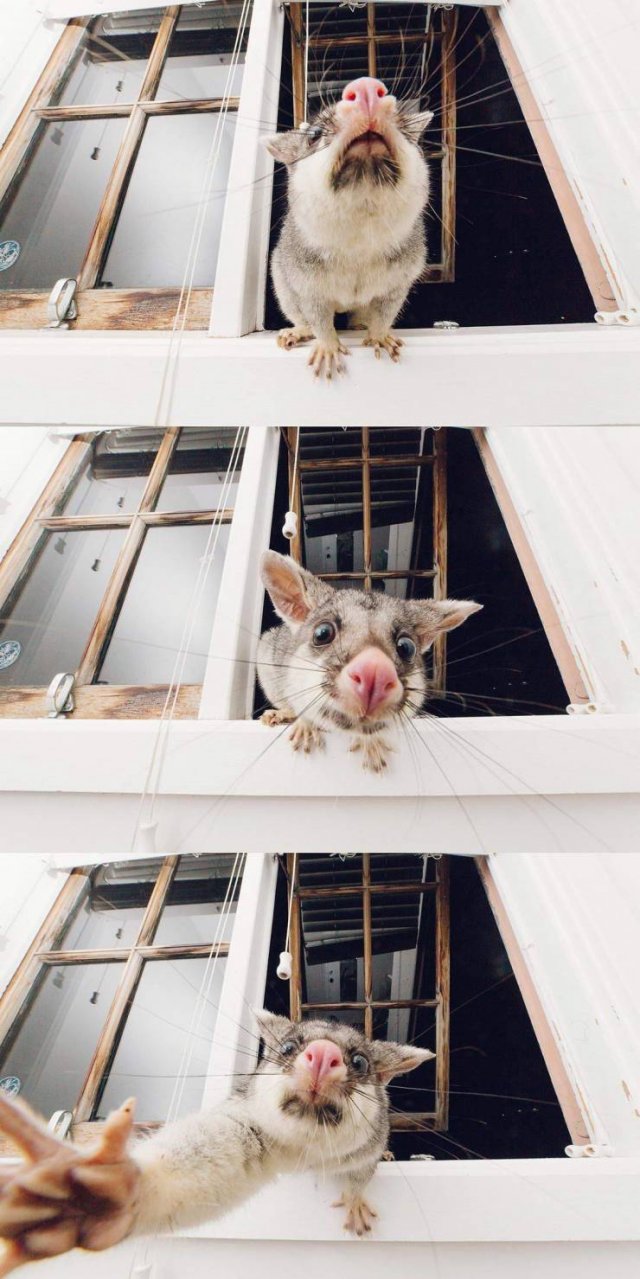 Acid Picdump. Part 1 (96 pics)