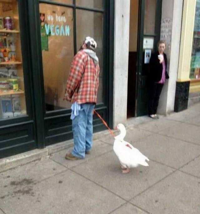 Acid Picdump. Part 1 (96 pics)