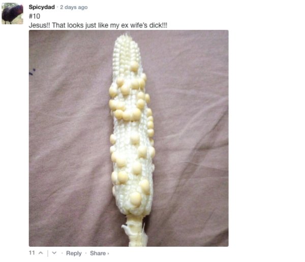 Sarcastic Comments (72 pics)